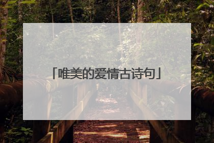 唯美的爱情古诗句