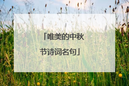 唯美的中秋节诗词名句