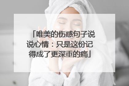 唯美的伤感句子说说心情:只是这份记得成了更深重的痛