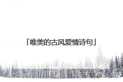 唯美的古风爱情诗句
