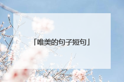 唯美的句子短句