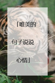 唯美的句子说说心情