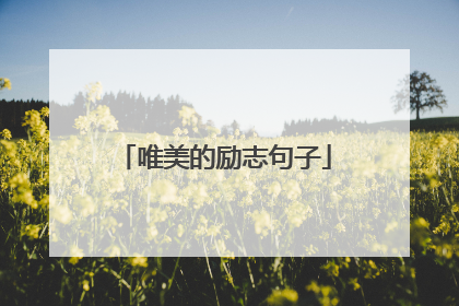 唯美的励志句子