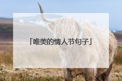 唯美的情人节句子