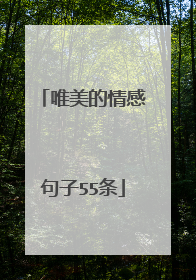 唯美的情感句子55条