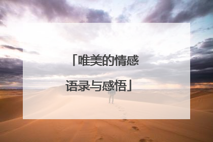 唯美的情感语录与感悟