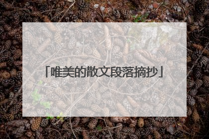唯美的散文段落摘抄