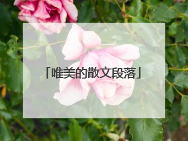 唯美的散文段落