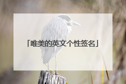 唯美的英文个性签名