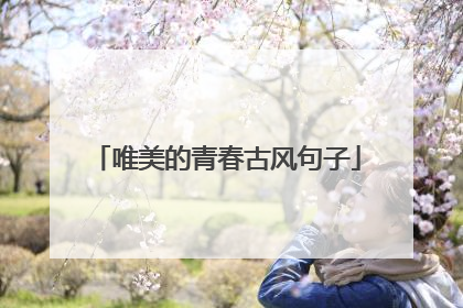 唯美的青春古风句子