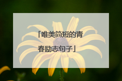 唯美简短的青春励志句子