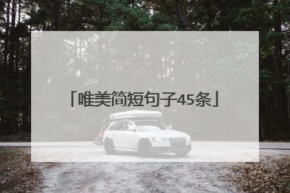 唯美简短句子45条