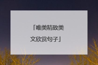 唯美精致美文欣赏句子