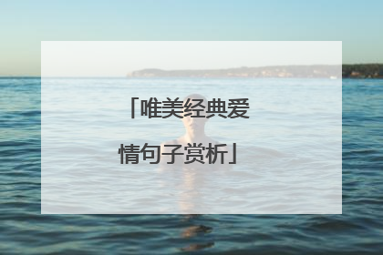 唯美经典爱情句子赏析