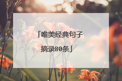 唯美经典句子摘录80条