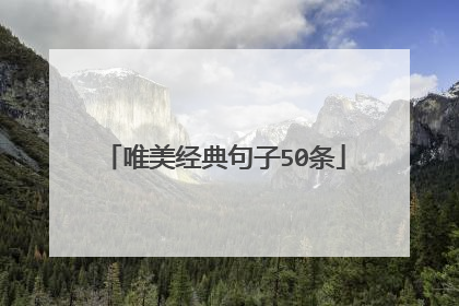 唯美经典句子50条