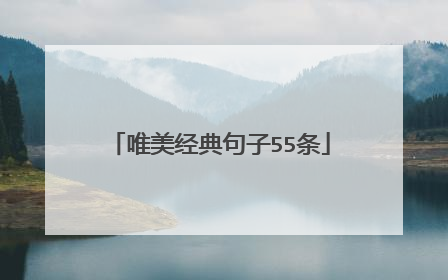 唯美经典句子55条