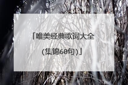 唯美经典歌词大全 (集锦60句)