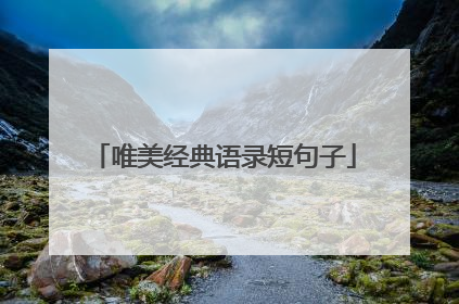 唯美经典语录短句子