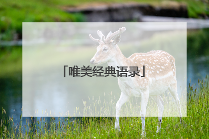 唯美经典语录