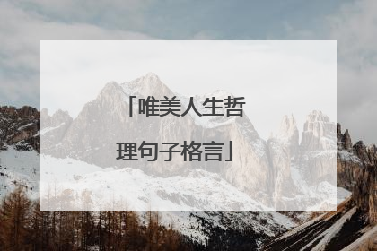唯美人生哲理句子格言