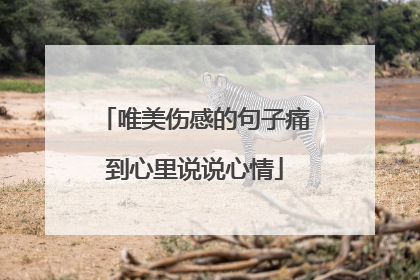 唯美伤感的句子痛到心里说说心情
