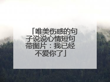 唯美伤感的句子说说心情短句带图片：我已经不爱你了
