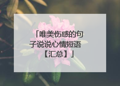 唯美伤感的句子说说心情短语【汇总】