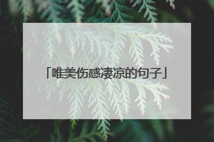 唯美伤感凄凉的句子