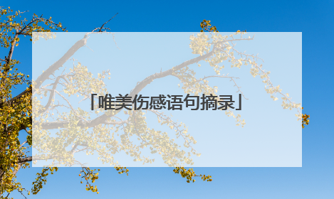 唯美伤感语句摘录