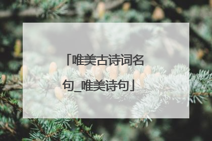 唯美古诗词名句_唯美诗句