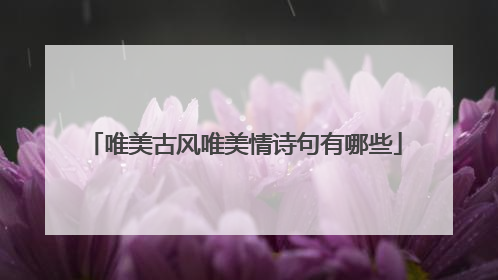 唯美古风唯美情诗句有哪些