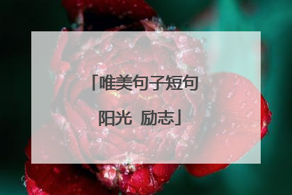 唯美句子短句 阳光 励志