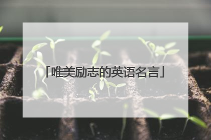 唯美励志的英语名言