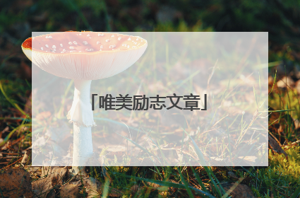 唯美励志文章