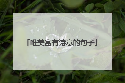 唯美富有诗意的句子