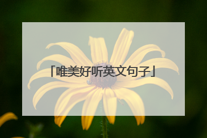 唯美好听英文句子