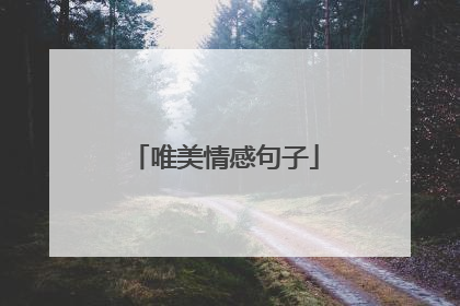 唯美情感句子