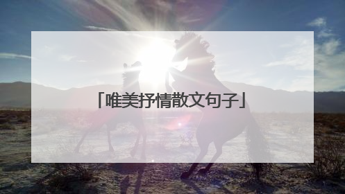 唯美抒情散文句子