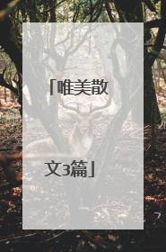 唯美散文3篇