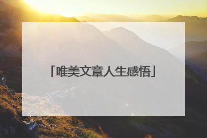 唯美文章人生感悟
