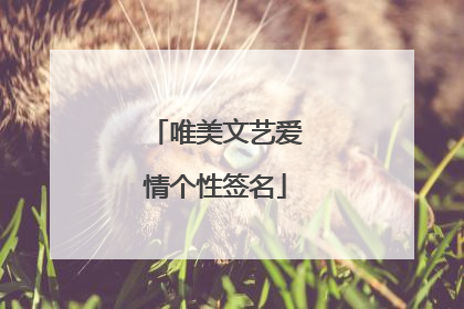 唯美文艺爱情个性签名
