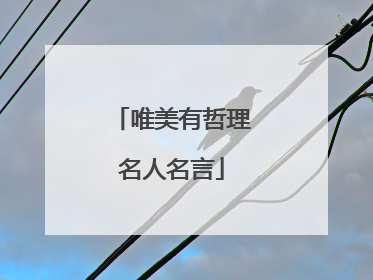 唯美有哲理名人名言