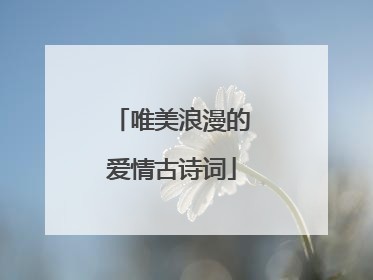 唯美浪漫的爱情古诗词