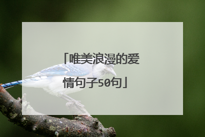 唯美浪漫的爱情句子50句