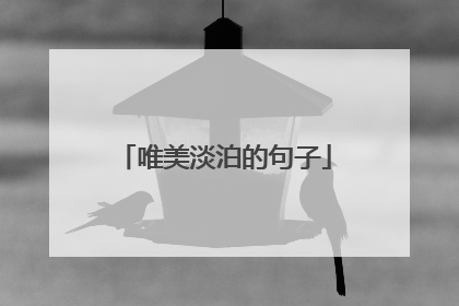 唯美淡泊的句子