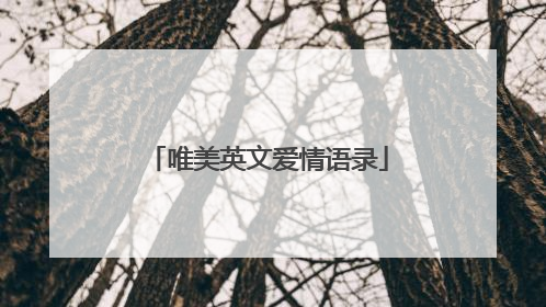 唯美英文爱情语录