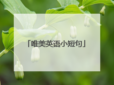 唯美英语小短句