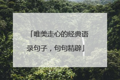唯美走心的经典语录句子,句句精辟