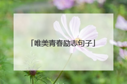 唯美青春励志句子